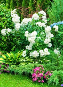 Card image about Comprehensive Maintenance 1