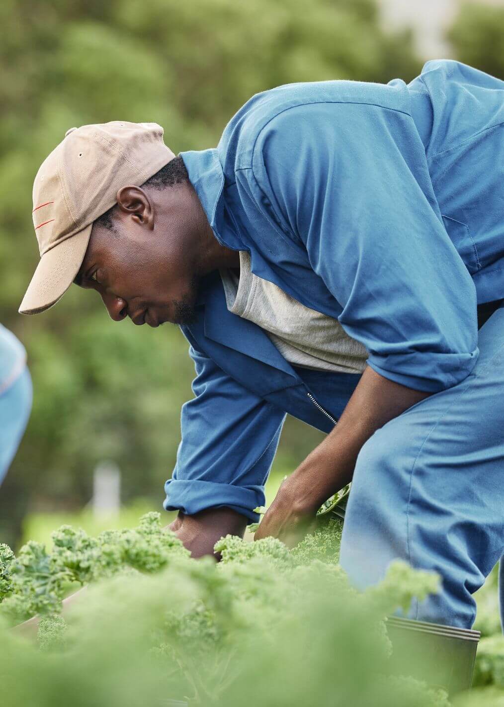 Card image about Client Care 1