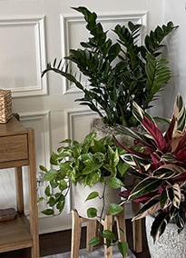 Card image about Select Design Services 2